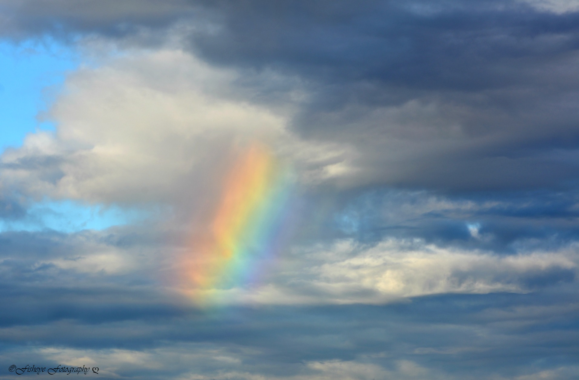 rainbow1002.jpg -  by Leigh Ann